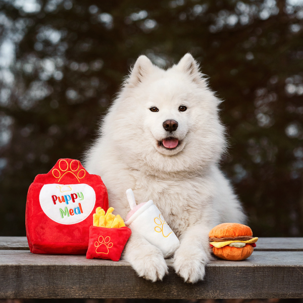 Peluche Puppy Meal Pawstory