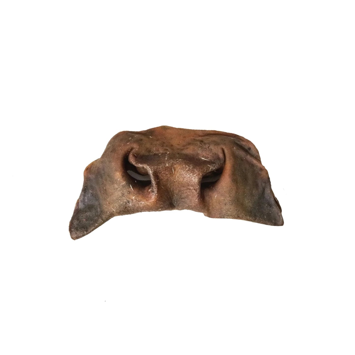 Nez/Museau de boeuf 20/30cm